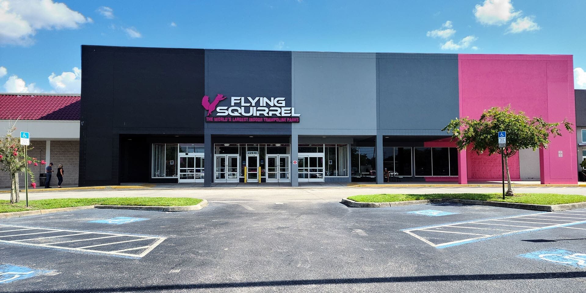 flying-squirrel-photos-lutz flying-squirrel-photos-lutz