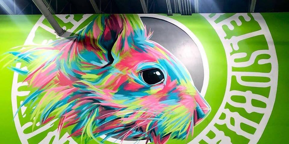 flying-squirrel-photos-spokane